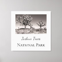 Parque nacional Joshua Trees