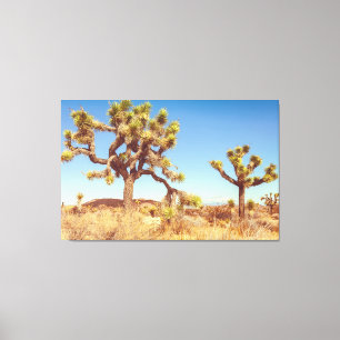 Lienzo Parque nacional Joshua Trees