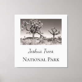 Lienzo Parque nacional Joshua Trees