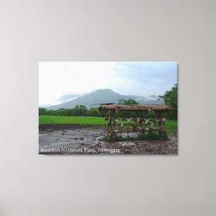 Lienzo Parque Nacional Monte Baluran Foto de Viaje Indone