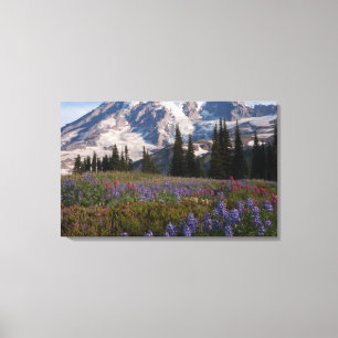 Lienzo Parque Nacional Mount Rainier, Monte Rainier 3