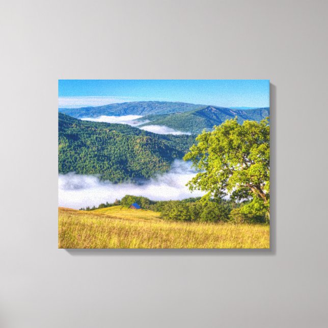 Lienzo Parque Nacional Redwood, California (Anverso)