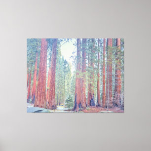 Lienzo Parque nacional Sequoia