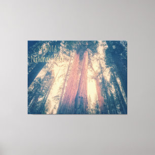 Lienzo Parque nacional Sequoia
