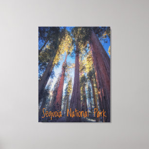 Lienzo Parque Nacional Sequoia California