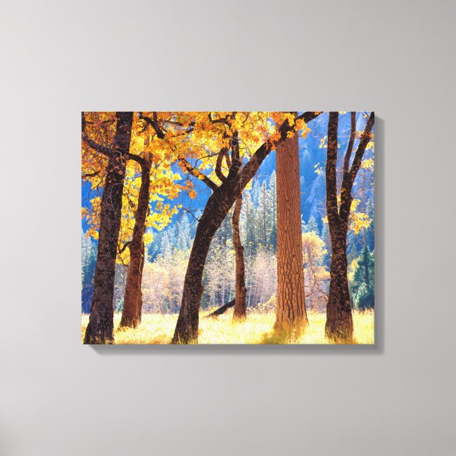 Lienzo Parque nacional Yosemite (Anverso)