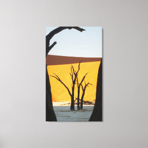 Lienzo Parque Namib-Naukluft, Sossusvlei   Dead Vlei