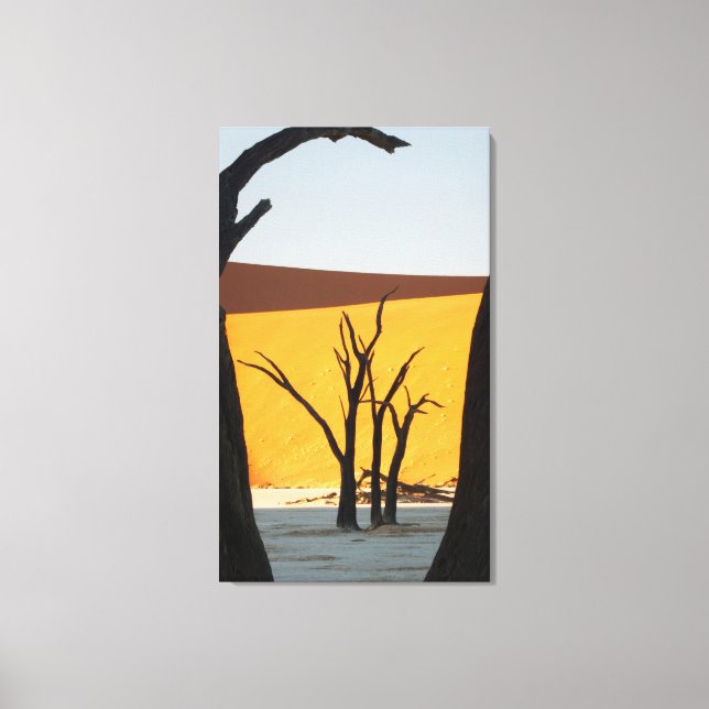 Lienzo Parque Namib-Naukluft, Sossusvlei | Dead Vlei (Anverso)