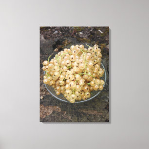 Lienzo Pasas blancas orgánicas del jardín