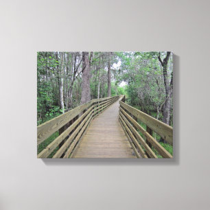 Lienzo Paseo marítimo a través de los bosques Foto en un 