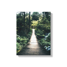 Paseo Marítimo Por El Bosque