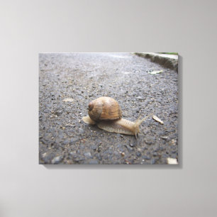 Lienzo Paseo por el caracol