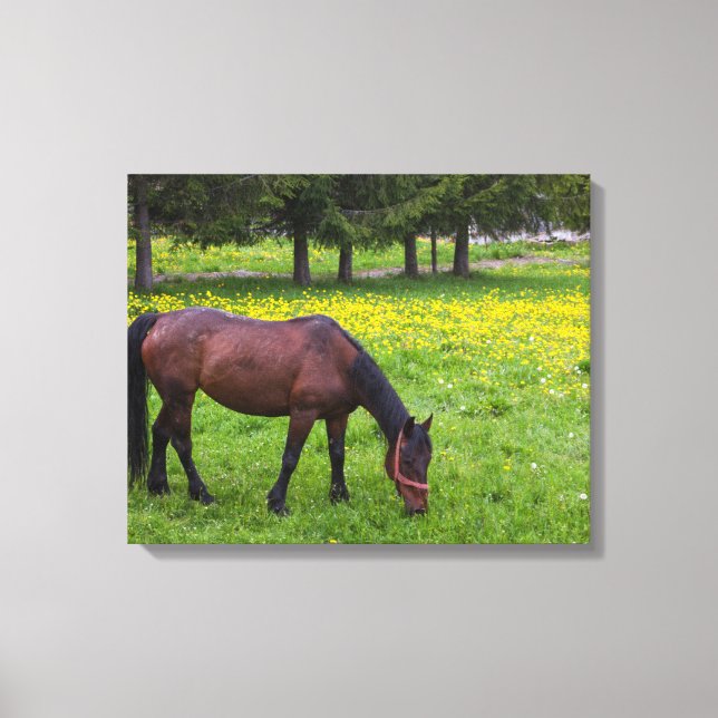 Lienzo Paso de Tihuta, caballo en prado (Anverso)