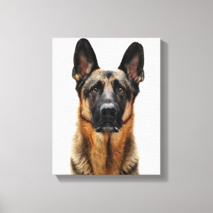 Lienzo Pastor alemán sentado