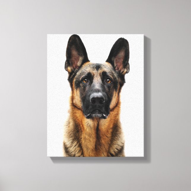 Lienzo Pastor alemán sentado (Anverso)