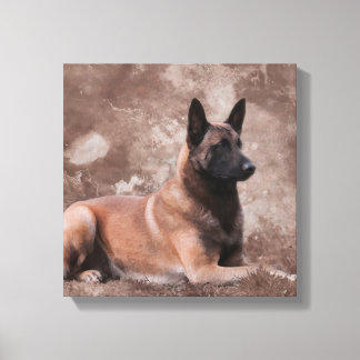 Lienzo Pastor belga de Malinois - Mechelaar