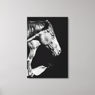 Lienzo pata de caballo principal