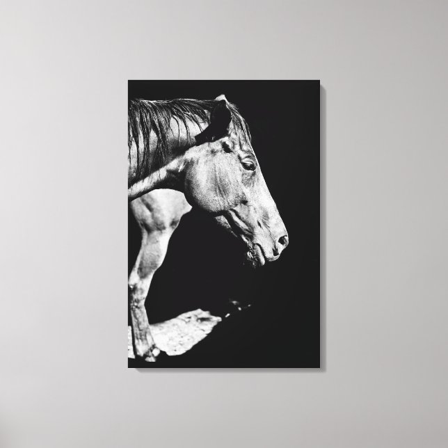 Lienzo pata de caballo principal (Anverso)