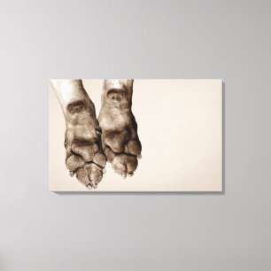 Lienzo Patas de los perros