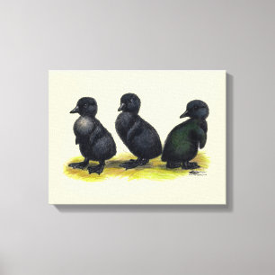 Lienzo Patitos de Cayuga Negra