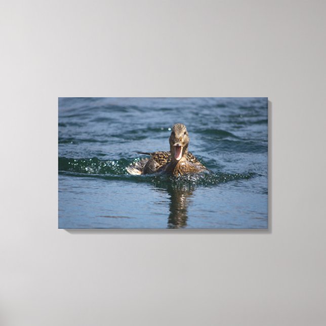 Lienzo Pato con el pico abierto (Anverso)