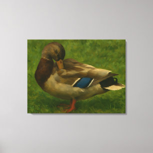 Lienzo Pato Mallard en la Luz de la pradera