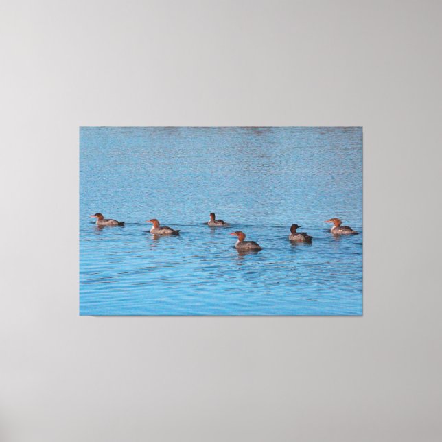 Lienzo Patos Por Seis (Anverso)