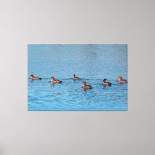 Lienzo Patos Por Seis