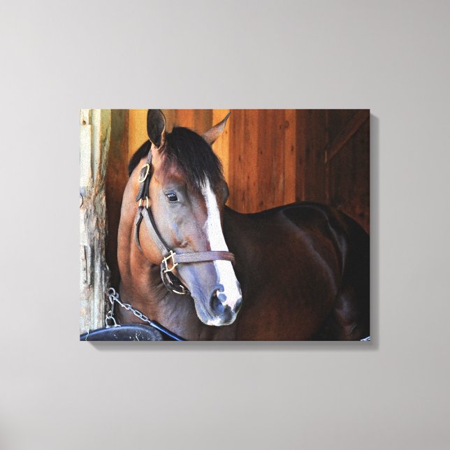 Lienzo Patriota americano (Anverso)