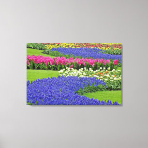 Lienzo Patrón de jacinto de uva, tulipanes y 3