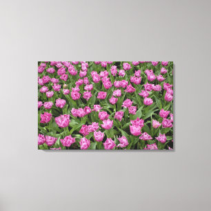 Lienzo Patrón de los tulipanes, Keukenhof Gardens,