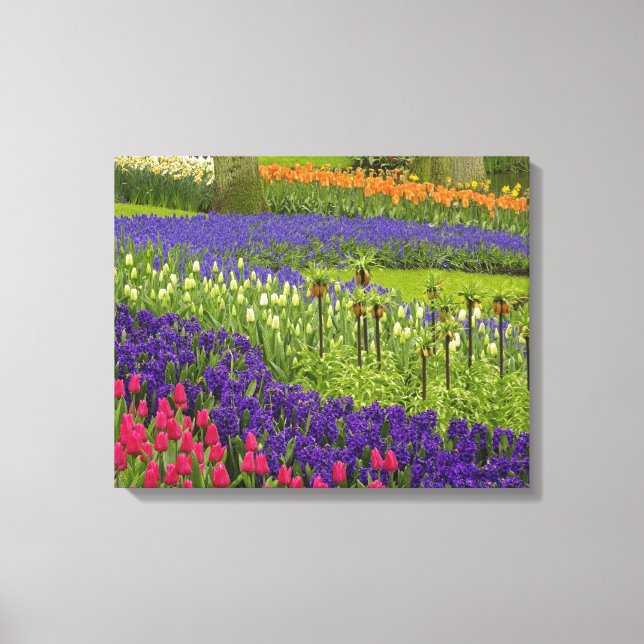 Lienzo Patrón de tulipanes jacintos y jacintos de uva (Anverso)