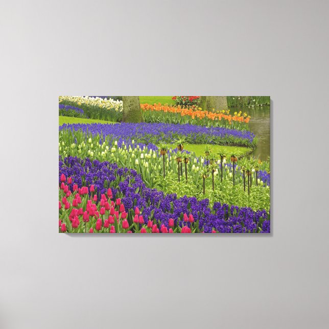 Lienzo Patrón de tulipanes jacintos y jacintos de uva (Anverso)