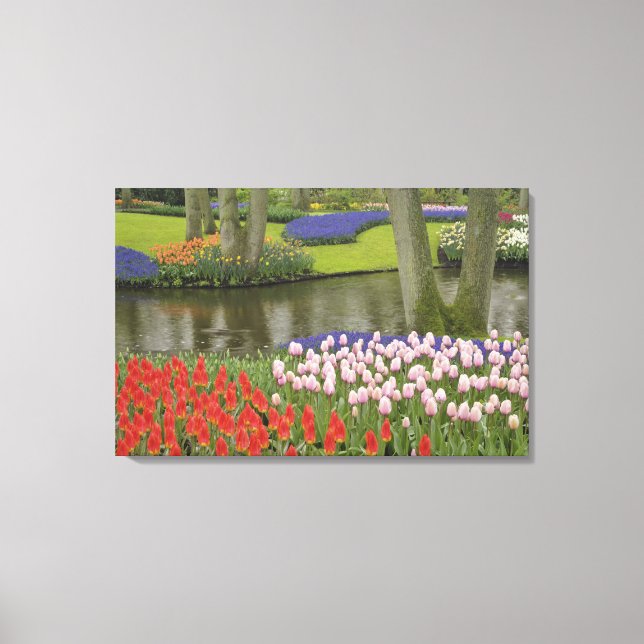Lienzo Patrón de tulipanes y flores de jacinto de uva, (Anverso)