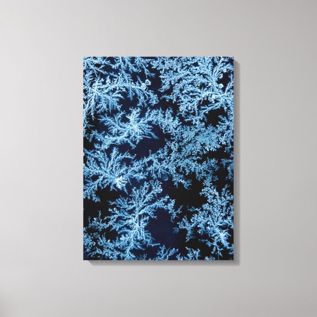 Lienzo Patrones de escarcha en primer plano, California (Anverso)