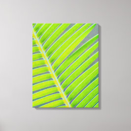 Lienzo Patrones de palmas