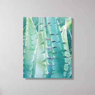 Lienzo Patrones de una planta Agave