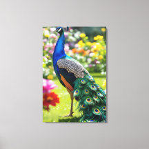 Pavo real en flor