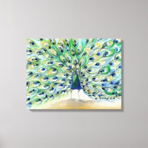 Lienzo Pavo real en San Diego 2 2013