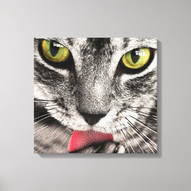 Lienzo Paw de golpes de gatos en tabby (Anverso)