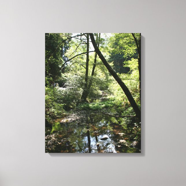 Lienzo "Paz verde", Muir Woods (Anverso)