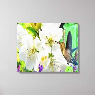 Lienzo Peach Blossom Hummingbird