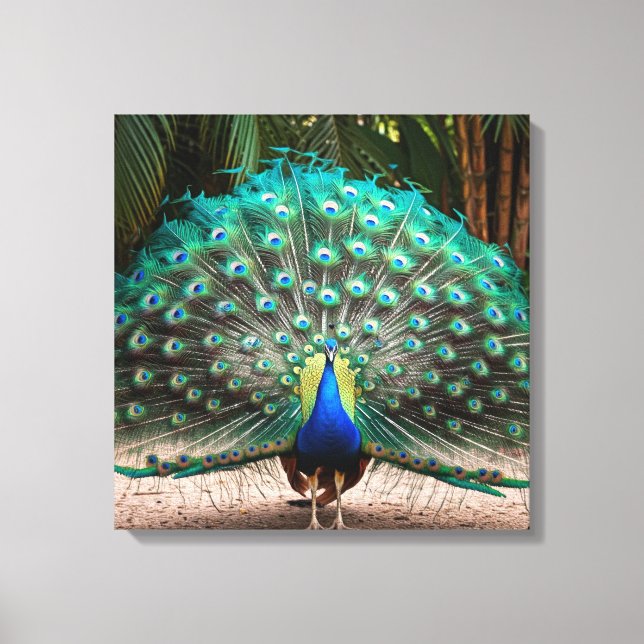 Lienzo Peacock Feather Fanning (Anverso)