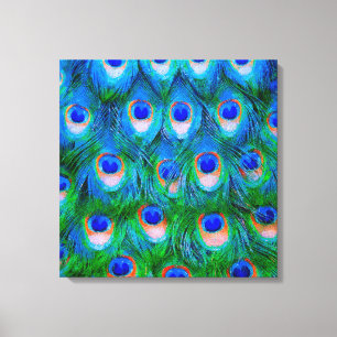 Lienzo Peacock Feathers Art