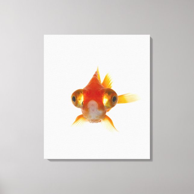 Lienzo Peces de oro con ojos grandes 2 (Anverso)