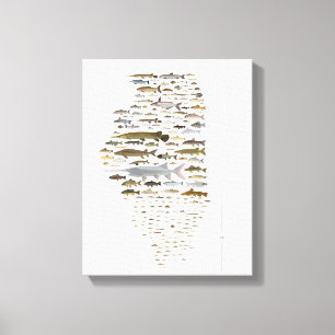 Lienzo Peces del Poster de Illinois