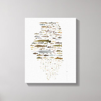 Lienzo Peces del Poster de Illinois