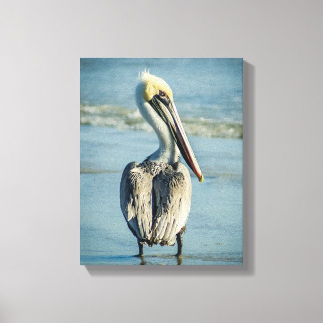 Lienzo Pelican en una playa de Florida (Anverso)