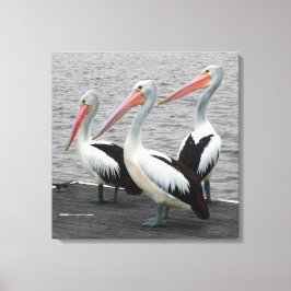Lienzo Pelican Sea Bird Minimalista Color Pop Photography