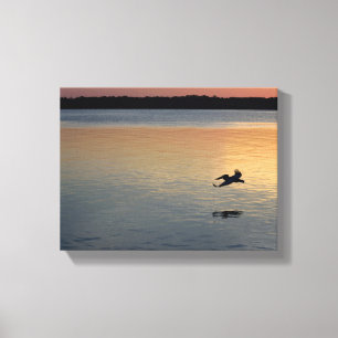 Lienzo Pelican sobrevolando el río al atardecer